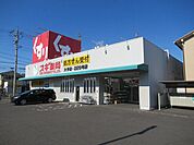 スギ薬局大手店229号店 1100m