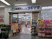 ドラッグスギヤマ坂下店 750m