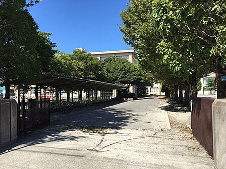 柏原中学校 1600m
