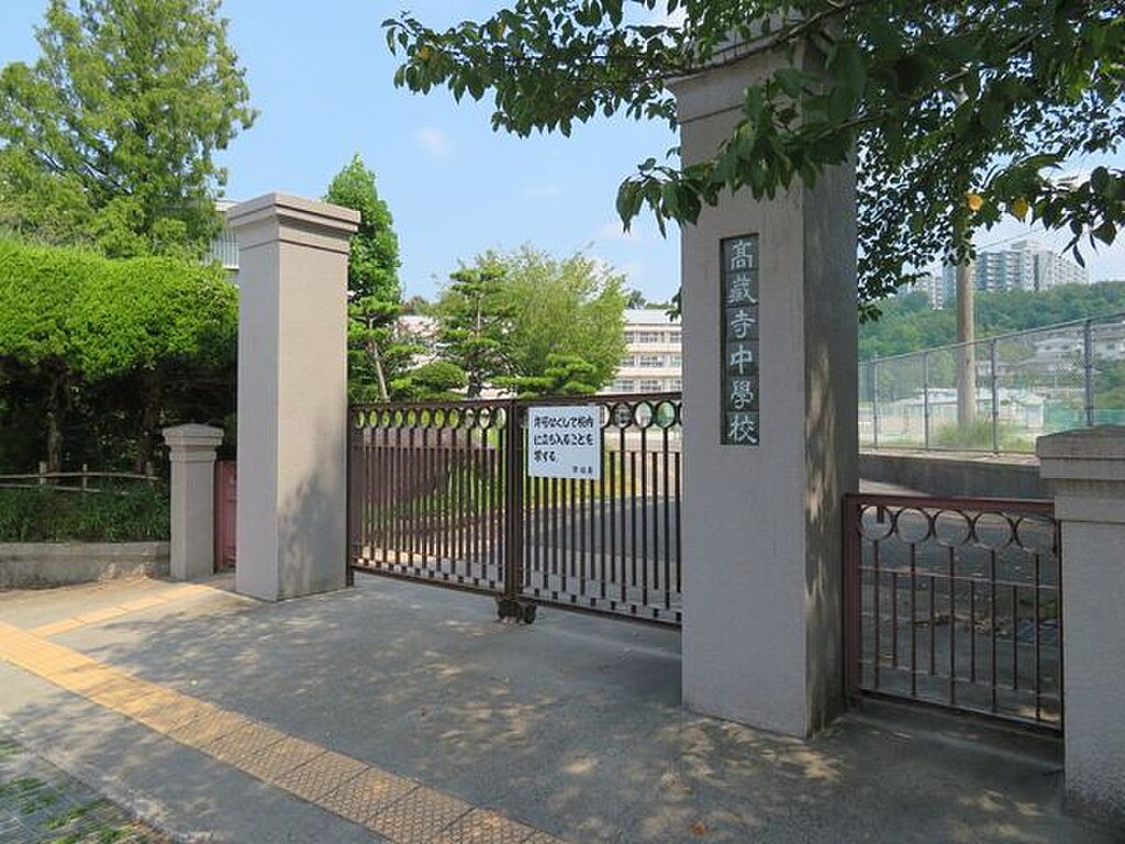Image 7