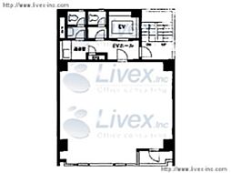 ニュー新富 5階/5階