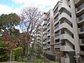 敷地の北側には...