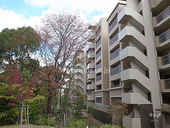 敷地の北側には...