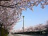 周辺：競馬場前の桜並木の外観