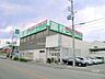 周辺：業務スーパー(宝塚仁川店)の外観