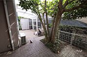 庭、こだわりの植栽！室内から緑を感じられます。