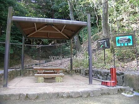 保護樹林の入口にあるテーブルセット