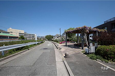 敷地北側の前面道路
