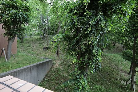 バルコニーからの眺め（南東方向）［2026年5月26日撮影］