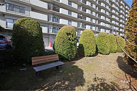広場