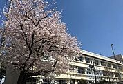 千葉市立仁戸名小学校 徒歩8分。 640m