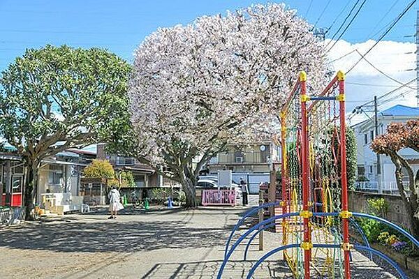 周辺を拡大表示