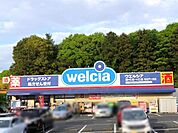 ウエルシア柏名戸ヶ谷店 徒歩15分。 1160m