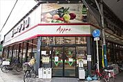 食品館アプロ関目店 264m