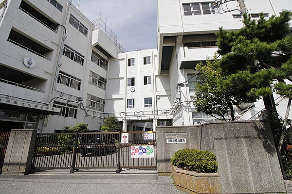 周辺を拡大表示