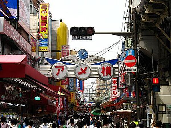 ブリリアイスト上野御徒町（Brillia ist上野御徒町） 703｜東京都台東区台東３丁目(賃貸マンション1LDK・7階・41.60㎡)の写真 その30