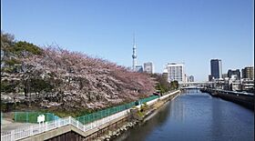 ヴィオラコート 502 ｜ 東京都江東区大島２丁目9-5（賃貸マンション1LDK・5階・43.32㎡） その18