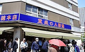 イプセ日本橋 901 ｜ 東京都中央区日本橋蛎殻町１丁目6-5（賃貸マンション1LDK・9階・31.15㎡） その19