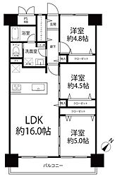 シティコープ豊洲 3LDKの間取図画像