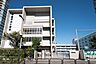 周辺：江東区立 豊洲北小学校　（徒歩10分）