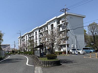 外観 外観