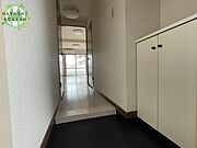 写真はイメージです