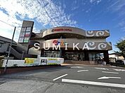 フレスタモール カジル津島 1269m