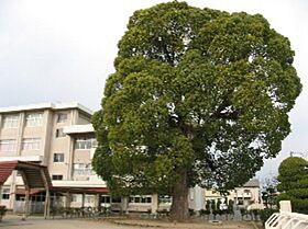 ル・べリエ　B  ｜ 岡山県岡山市東区松新町（賃貸アパート1LDK・2階・42.47㎡） その15