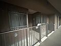 上質感漂う玄関...