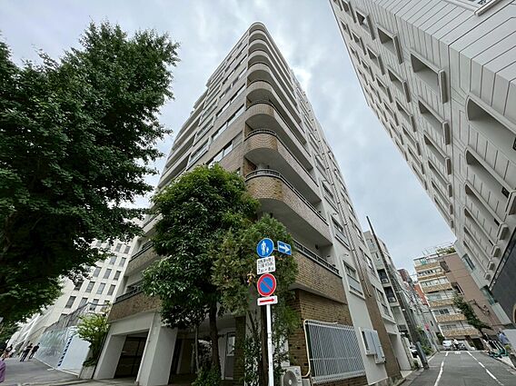 飽きのこないシ...