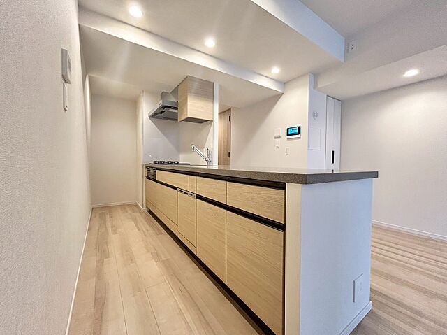 キッチン パークシティ高田馬場 3階/-