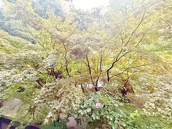 陽当たり・通風...