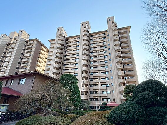 飽きのこないシ...