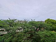 陽当たり・通風・開放感に恵まれた環境です。