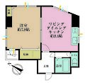 キャピタルプラザ大久保8階3,850万円