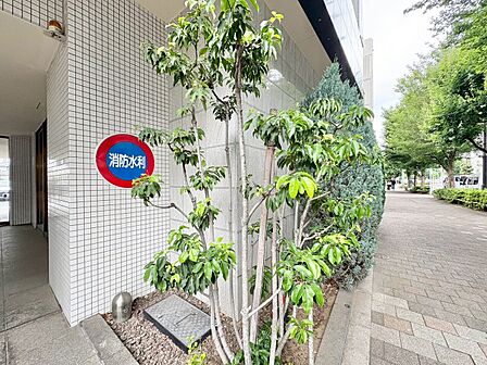 マンションの敷地内には、中庭もございます。