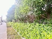 マンションの敷地内には、中庭もございます。