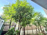 陽当たり・通風・開放感に恵まれた環境です。