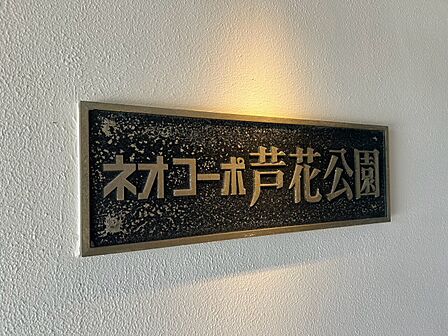 清潔感のある落ち着いた雰囲気の玄関です。