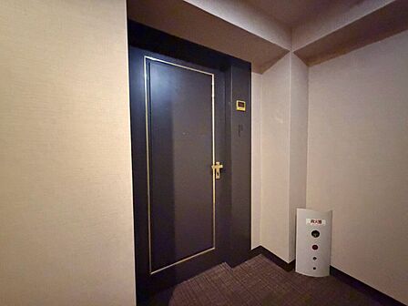 清潔感のある落ち着いた雰囲気の玄関です。