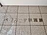 玄関：清潔感のある落ち着いた雰囲気の玄関です。