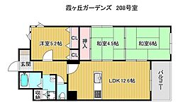 霞ケ丘ガーデンズ 3LDKの間取図画像