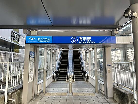 ゆりかもめ　有...