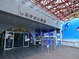 しながわ水族館　約950m