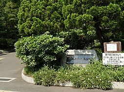 平和の森公園　約350m
