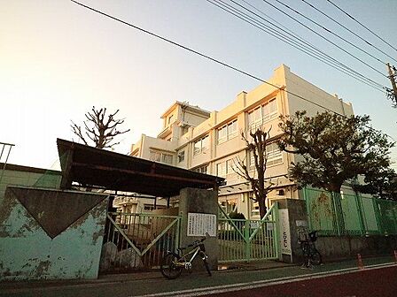 川崎市立向小学校 230m