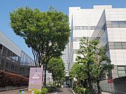 東京都立墨東病院 850m