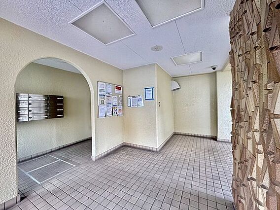 お手入れが行き...