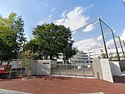 世田谷区立山野小学校 500m