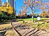 周辺：中央区立黎明橋公園 350m